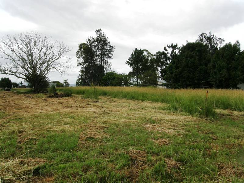 VERSATILE BLOCK Picture 2