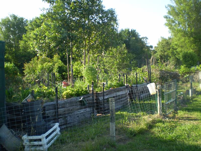 SIMPLY COUNTRY Picture 3