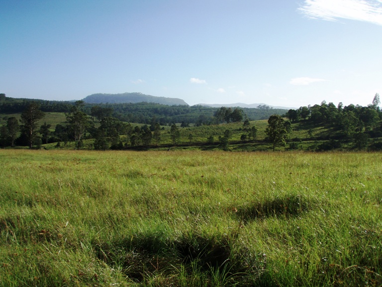 AFFORDABLE DREAM Picture 1