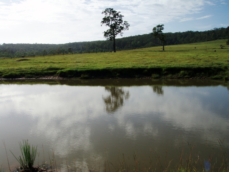 AFFORDABLE DREAM Picture 3