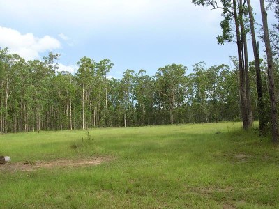 BUSH RETREAT Picture