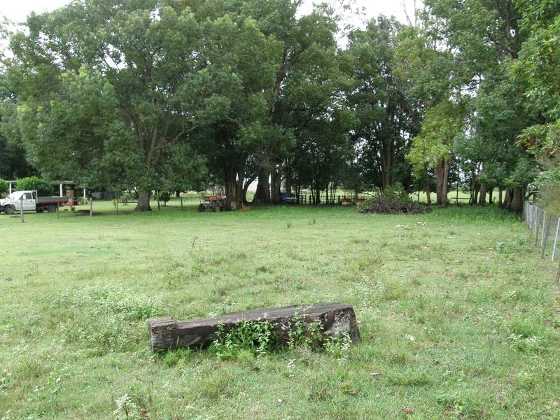 IDEAL TIMING Picture 3