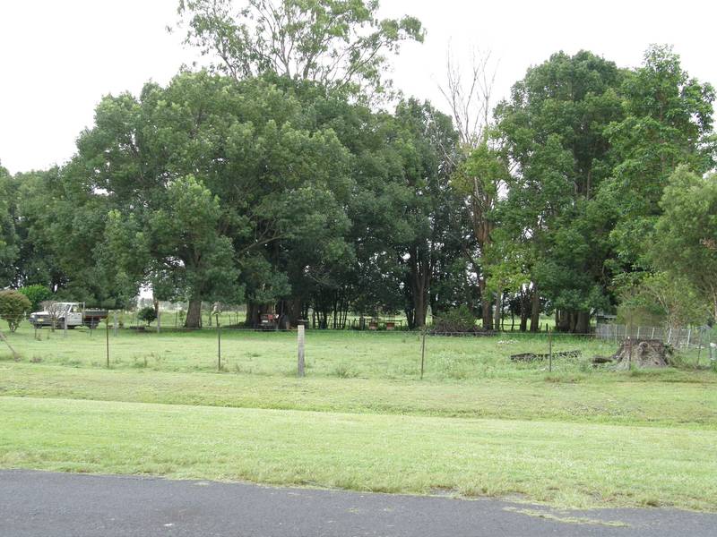 IDEAL TIMING Picture 2