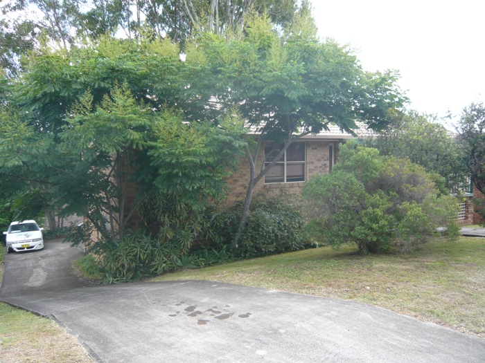 GREAT POSITION - BRICK & TILE Picture 3