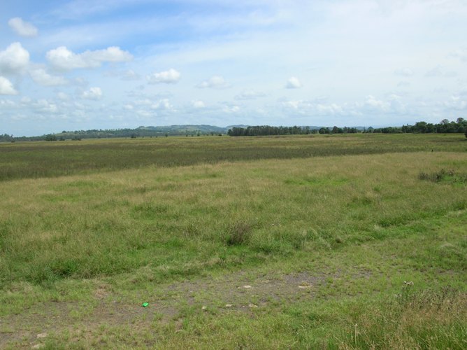 NORTHERN RIVERS CROPPING COUNTRY Picture 2