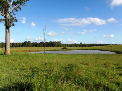 CATTLE & CROPPING Picture