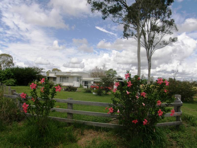 CATTLE & CROPPING Picture 3