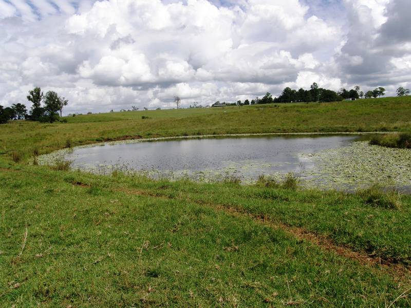 UNDULATING CATTLE COUNTRY Picture 2