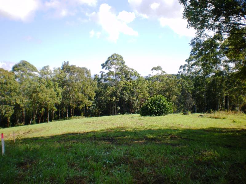 'PARKLIKE' Picture 3