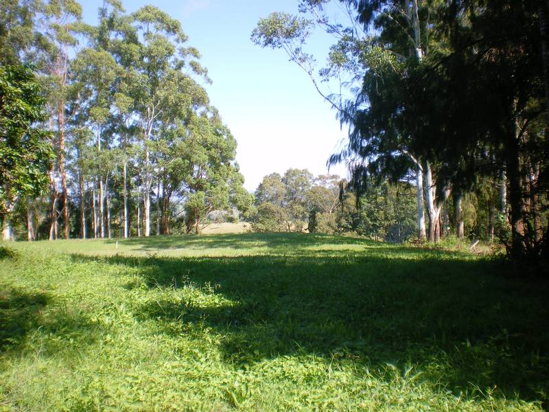 'PARKLIKE' Picture 2