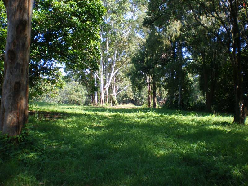 DISCOVER DREAMS AT DUNOON Picture 1