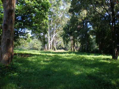 DISCOVER DREAMS AT DUNOON Picture DISCOVER DREAMS AT DUNOON Picture