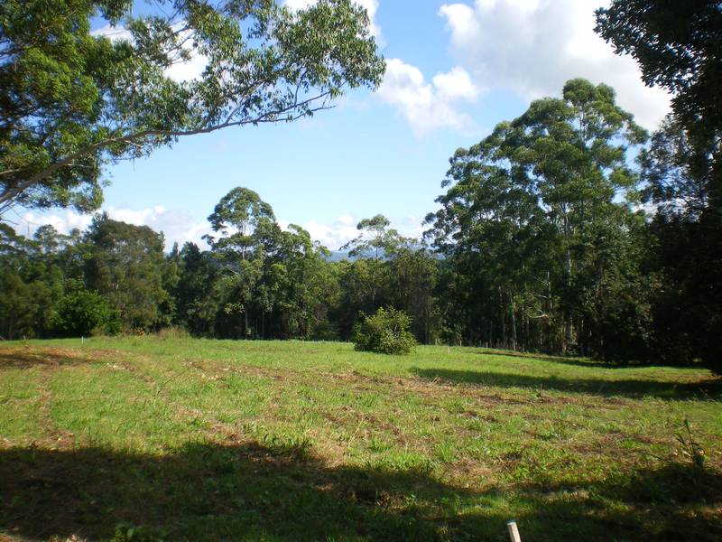 DISCOVER DREAMS AT DUNOON Picture 3