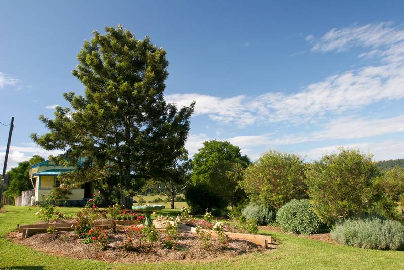 COUNTRY ATMOSPHERE Picture 2