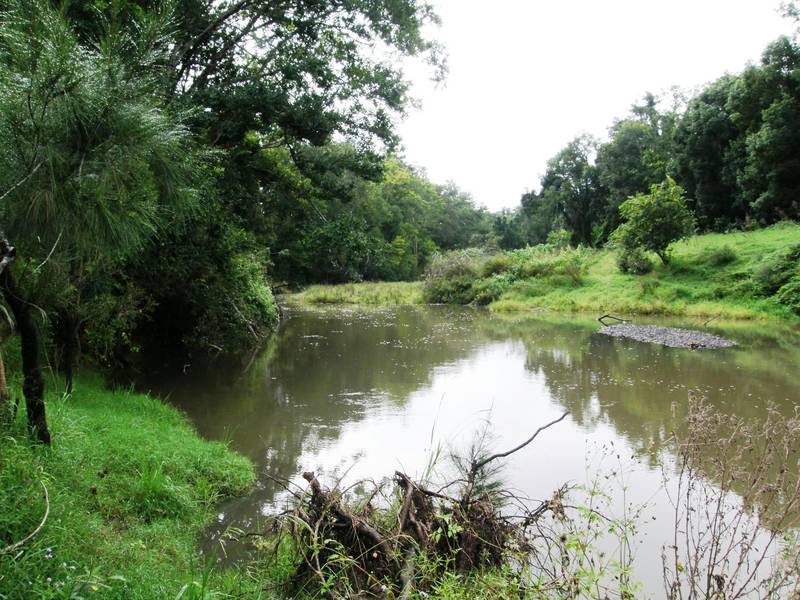 WHAT A RARE FIND Picture 2