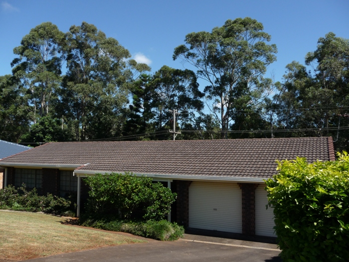 MAKE THIS YOUR PRIORITY Picture 1