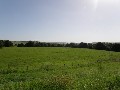 50 ACRE HOBBY FARM Picture