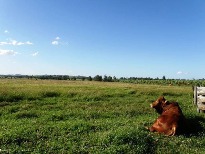 TATHAM DOWNS Picture 3