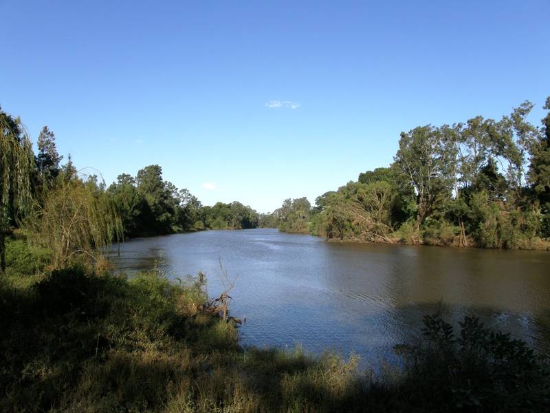 TATHAM DOWNS Picture 1