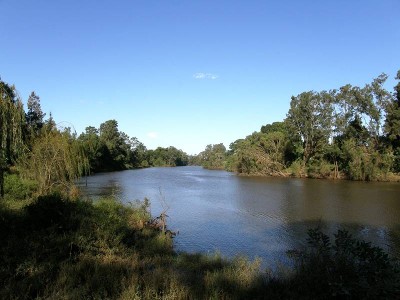 TATHAM DOWNS Picture