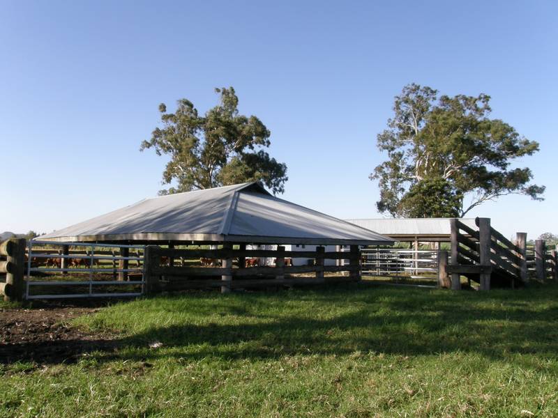 TATHAM DOWNS Picture 2