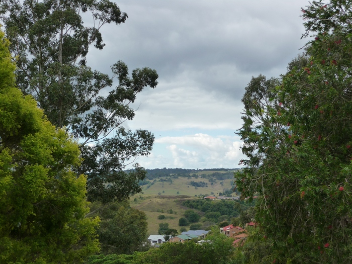 DON'T LET THIS ONE GET AWAY Picture 2