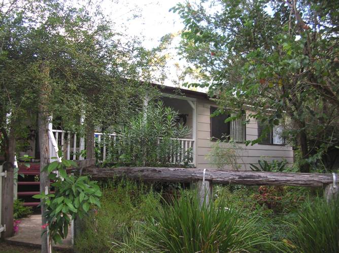 LOOKING FOR A TREE CHANGE Picture 2