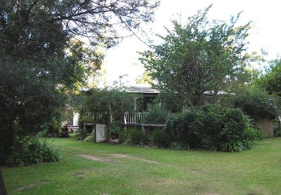 LOOKING FOR A TREE CHANGE Picture