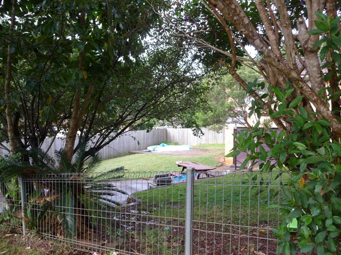 OPPORTUNITY KNOCKS Picture 2