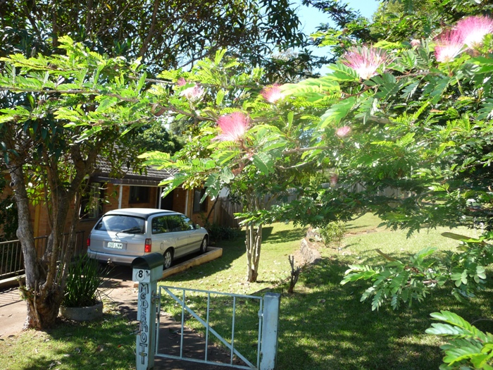 OPPORTUNITY KNOCKS Picture 3