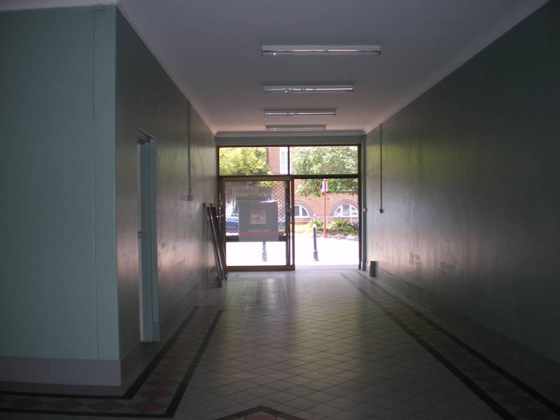 WHAT A CATCH Picture 2