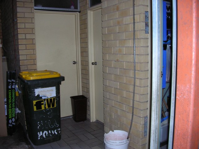 WHAT A CATCH Picture 3