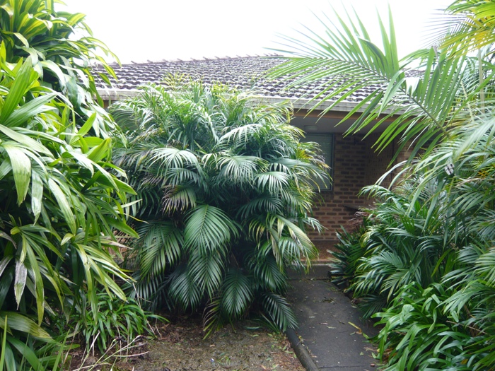 STARTING OUT Picture 3