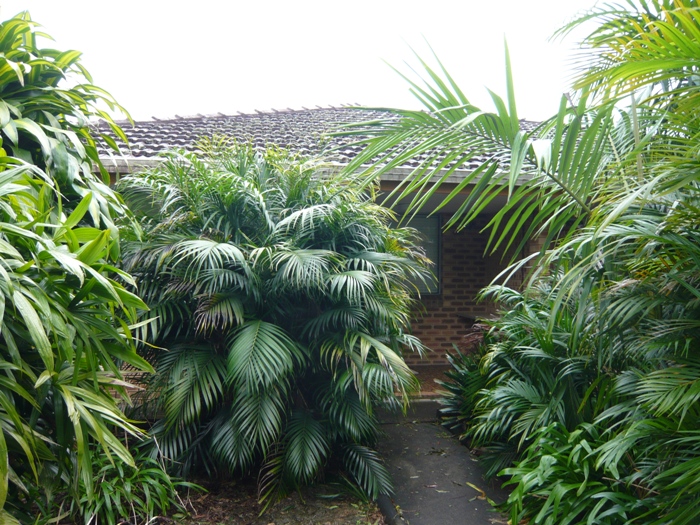 STARTING OUT Picture 2