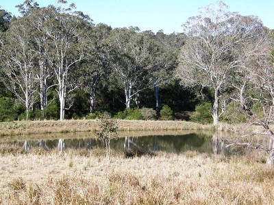 THE PERFECT ESCAPE Picture