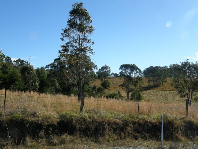 DREAMING OF DRAKE Picture 3