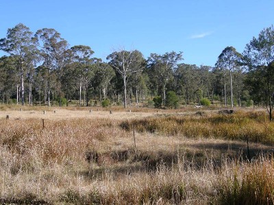 IS THIS WHAT YOU WISHED FOR? Picture