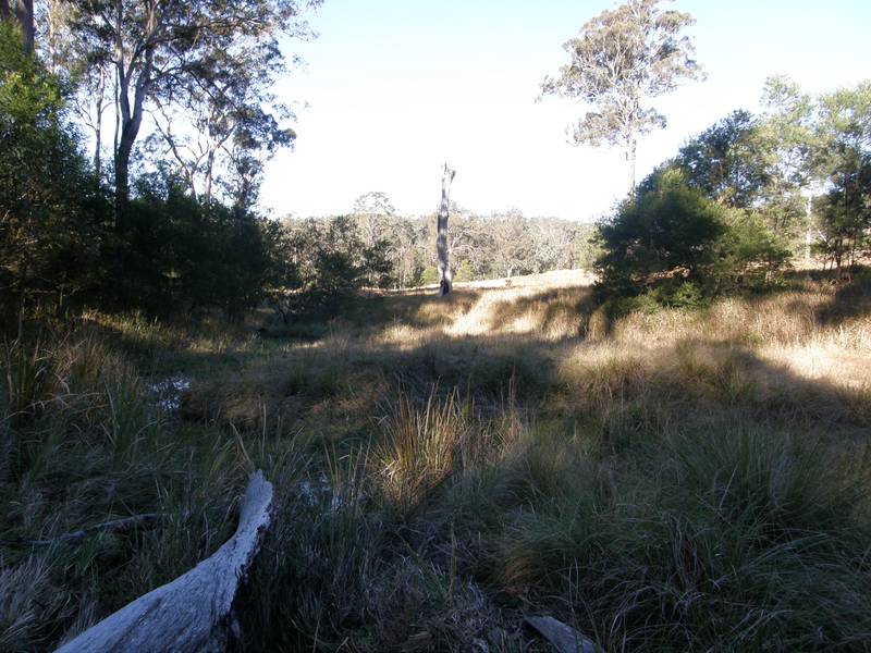 IS THIS WHAT YOU WISHED FOR? Picture 3