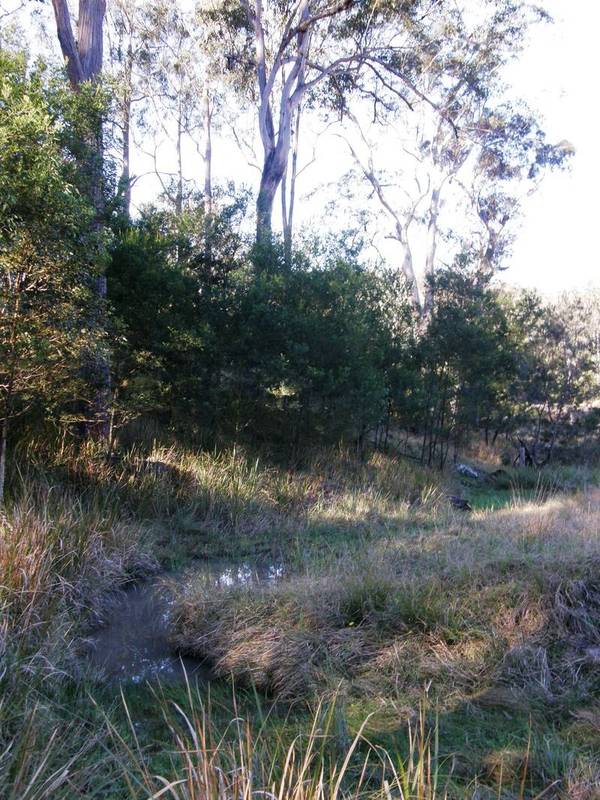 IS THIS WHAT YOU WISHED FOR? Picture 2