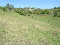 LISMORE HEIGHTS FARMLET Picture
