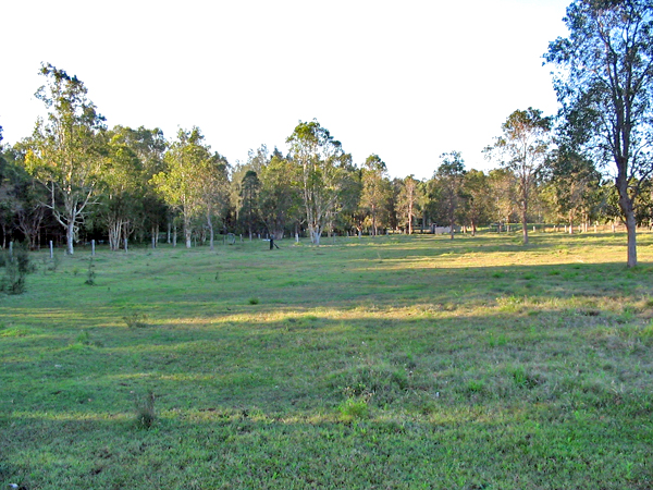 Dream Starter Picture 1