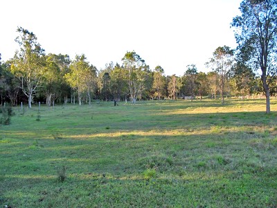 Dream Starter Picture