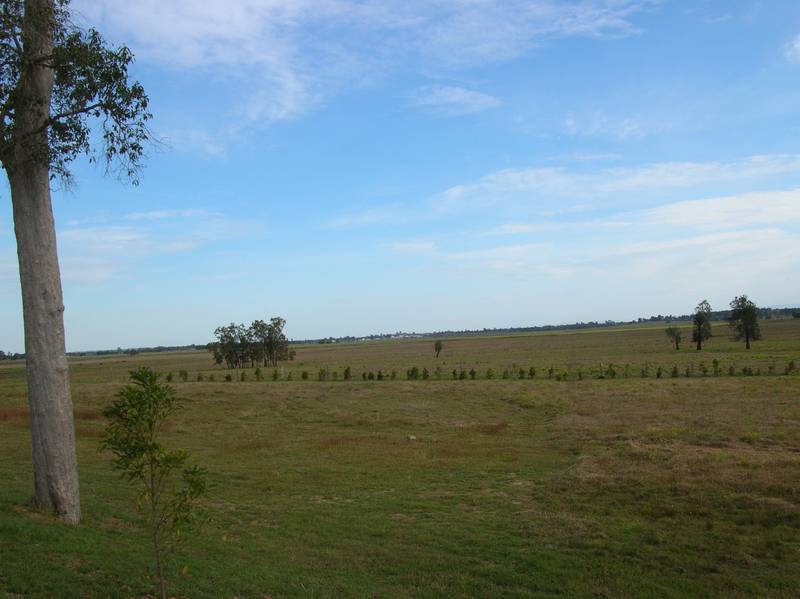 WALLABY DOWNS Picture 2