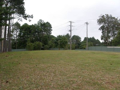 BIG LEVEL ALLOTMENT Picture