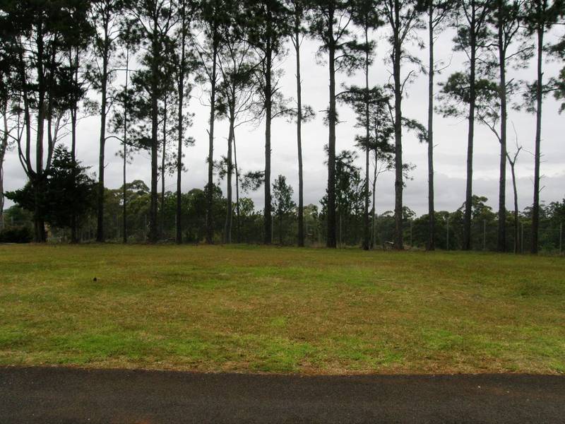 BIG LEVEL ALLOTMENT Picture 3