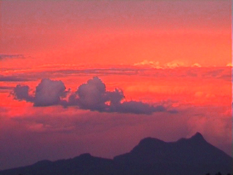 CAPTIVATING MT WARNING VIEWS Picture 3