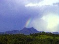 CAPTIVATING MT WARNING VIEWS Picture
