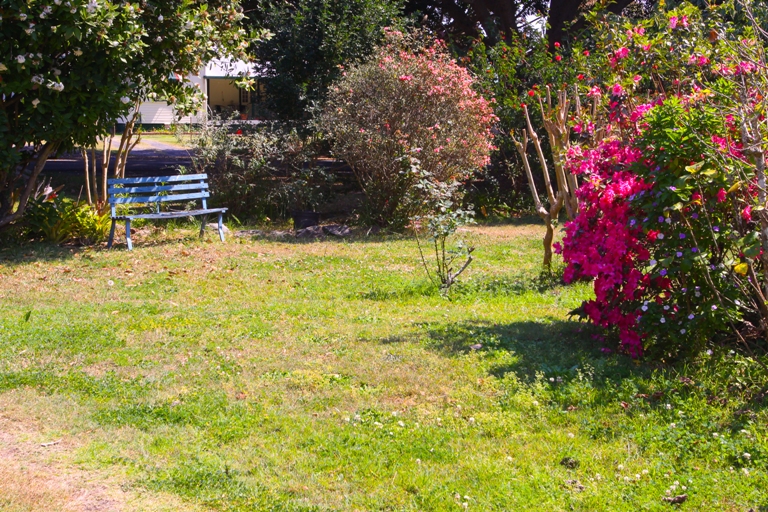 Character in Casino Picture 3