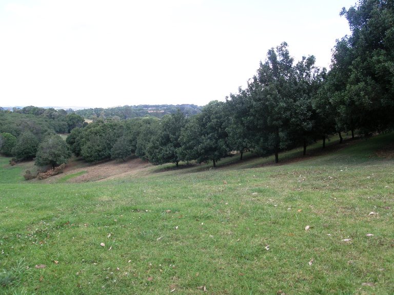 LIFESTYLE AT DUNOON Picture 2