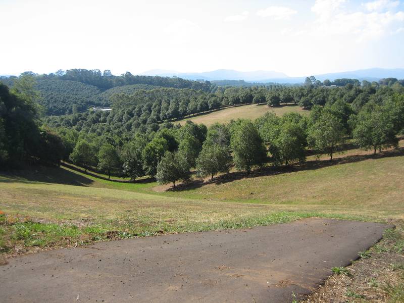 BUILD A DREAM Picture 1